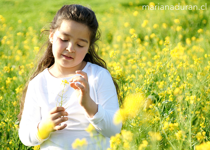 Niña jugando con una flor amarilla en Limache