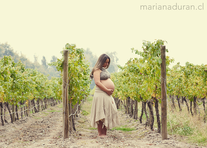 embarazada en la viña Cousiño Macul en Santiago