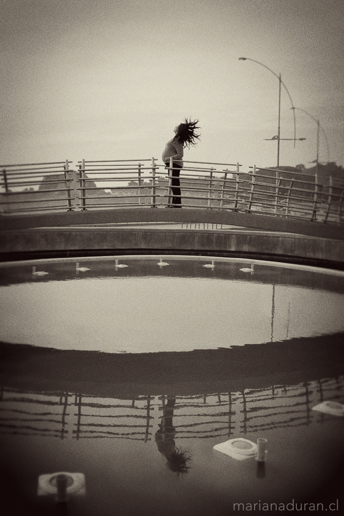 embarazada medusa en puente Las Salinas Viña del Mar